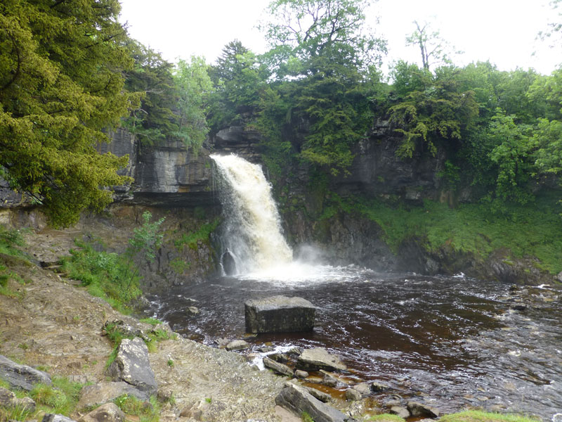 Thornton Force